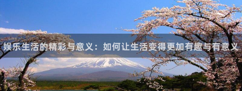 焦点娱乐app官网入口：娱乐生活的精彩与意义：如何让生活变得更加有趣与有意义