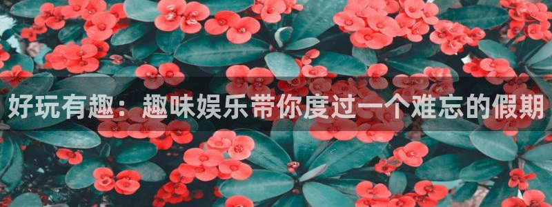 焦点娱乐版本.立即访问注册.中国：好玩有趣：趣味娱乐带你度过一个难忘的假期