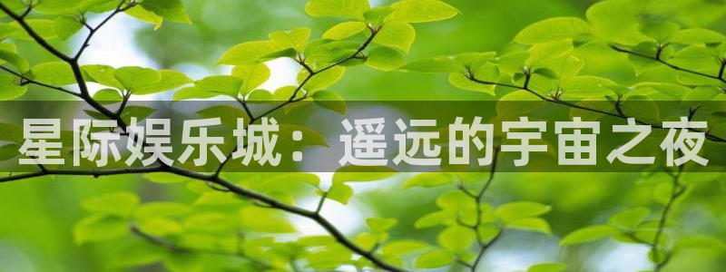 焦点娱乐入口登录网址：星际娱乐城：遥远的宇宙之夜