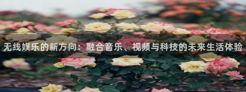 焦点娱乐app下载：无线娱乐的新方向：融合音乐、视频与科技的未来生活体验